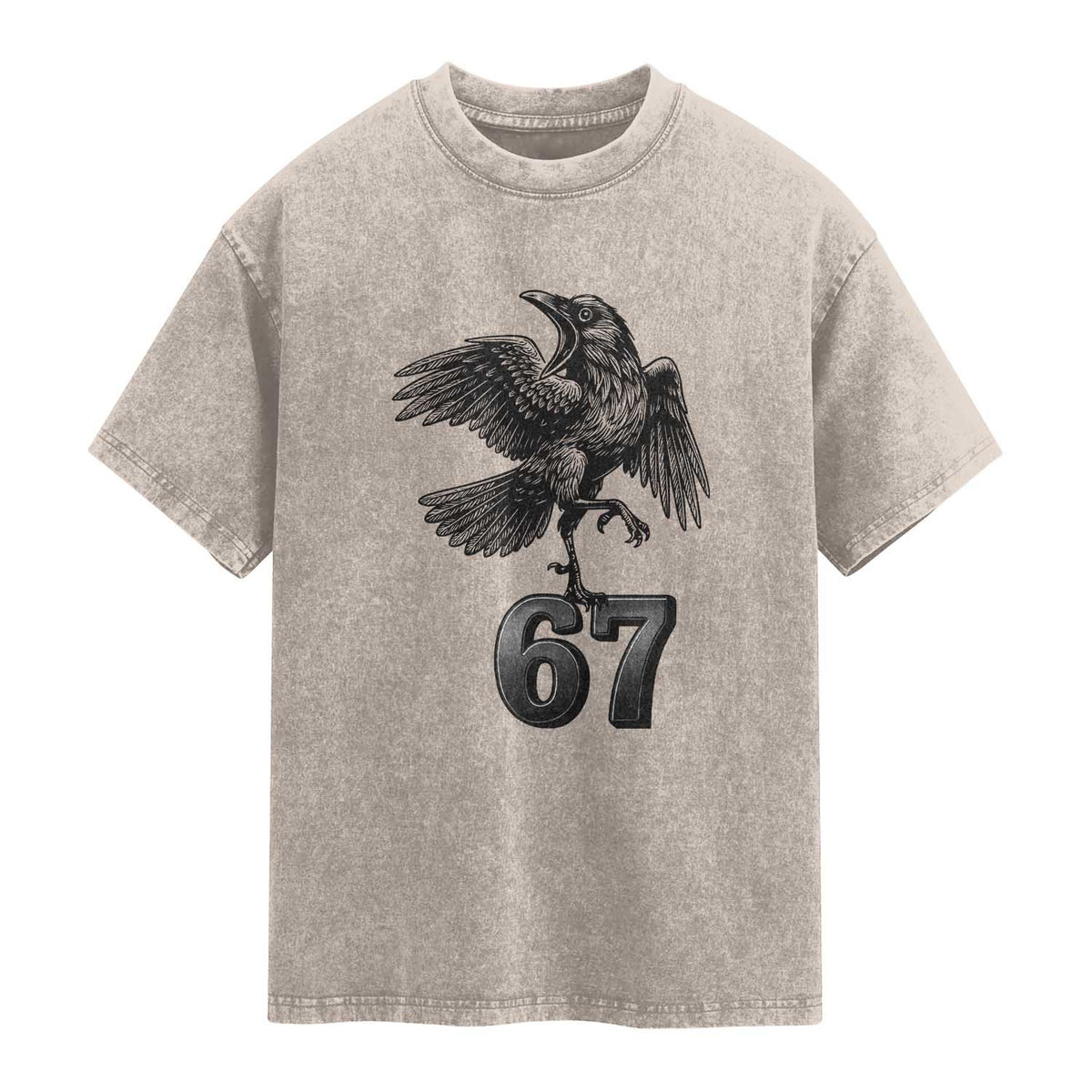 Funny Raven Brainrot Six Seven Meme Gift Washed Cotton T-Shirt