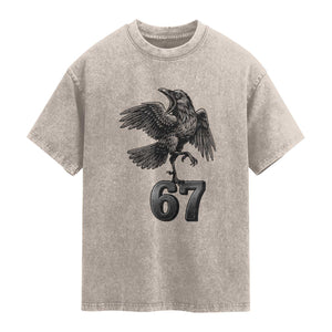Funny Raven Brainrot Six Seven Meme Gift Washed Cotton T-Shirt
