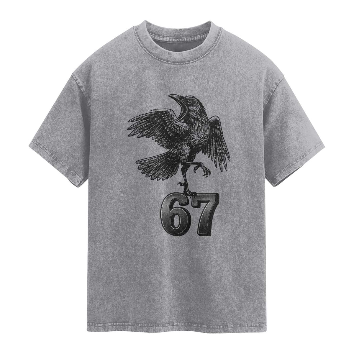 Funny Raven Brainrot Six Seven Meme Gift Washed Cotton T-Shirt