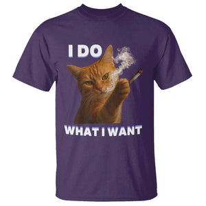 Funny Smoking Cat T Shirt I Do What I Want Sarcastic Cats Meme TS12 Purple Print Your Wear