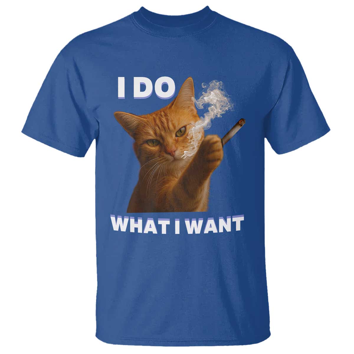Funny Smoking Cat T Shirt I Do What I Want Sarcastic Cats Meme TS12 Royal Blue Print Your Wear
