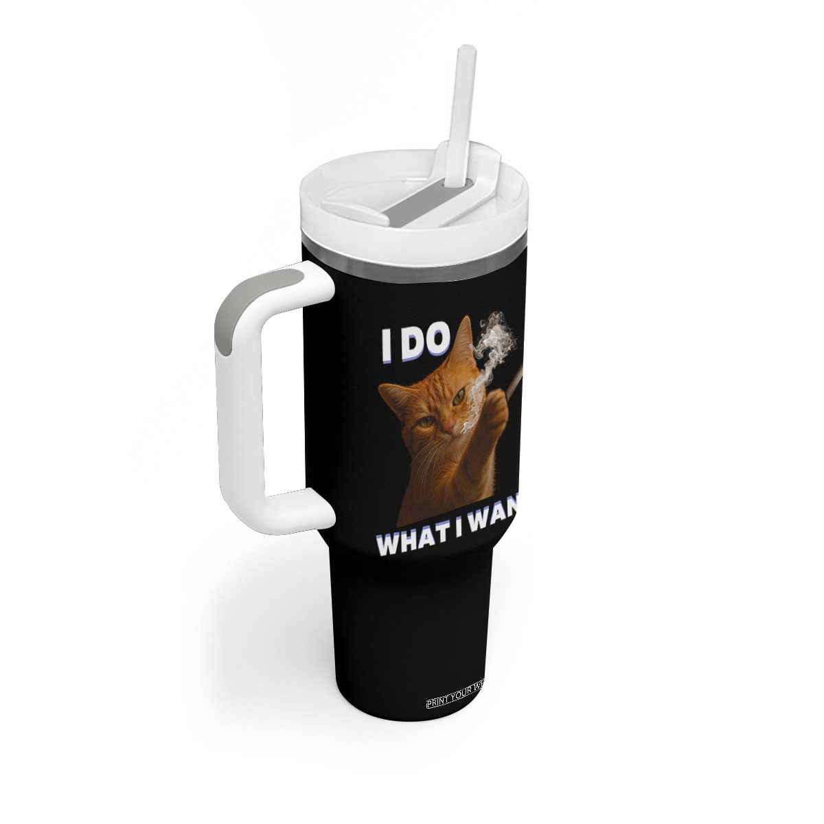 Funny Smoking Cat Tumbler With Handle I Do What I Want Sarcastic Cats Meme TS12 Print Your Wear