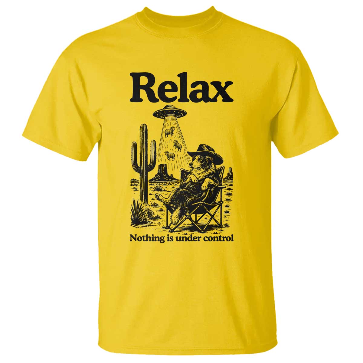 Funny Border Collie UFO Sheep Farmer T Shirt Relax Nothing Is Under Control Alien Dog Lover Gift TS12 Daisy Print Your Wear