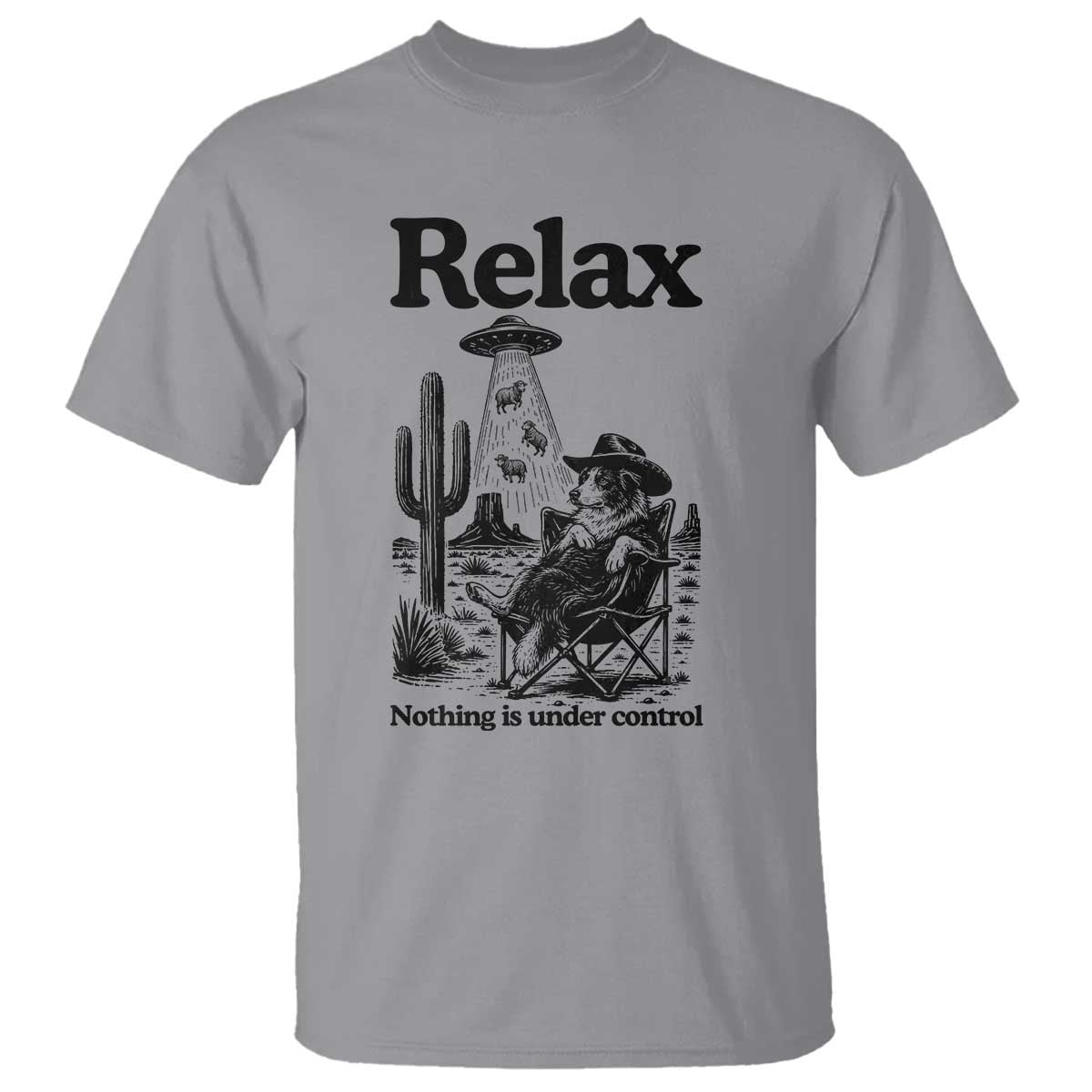 Funny Border Collie UFO Sheep Farmer T Shirt Relax Nothing Is Under Control Alien Dog Lover Gift TS12 Sport Gray Print Your Wear