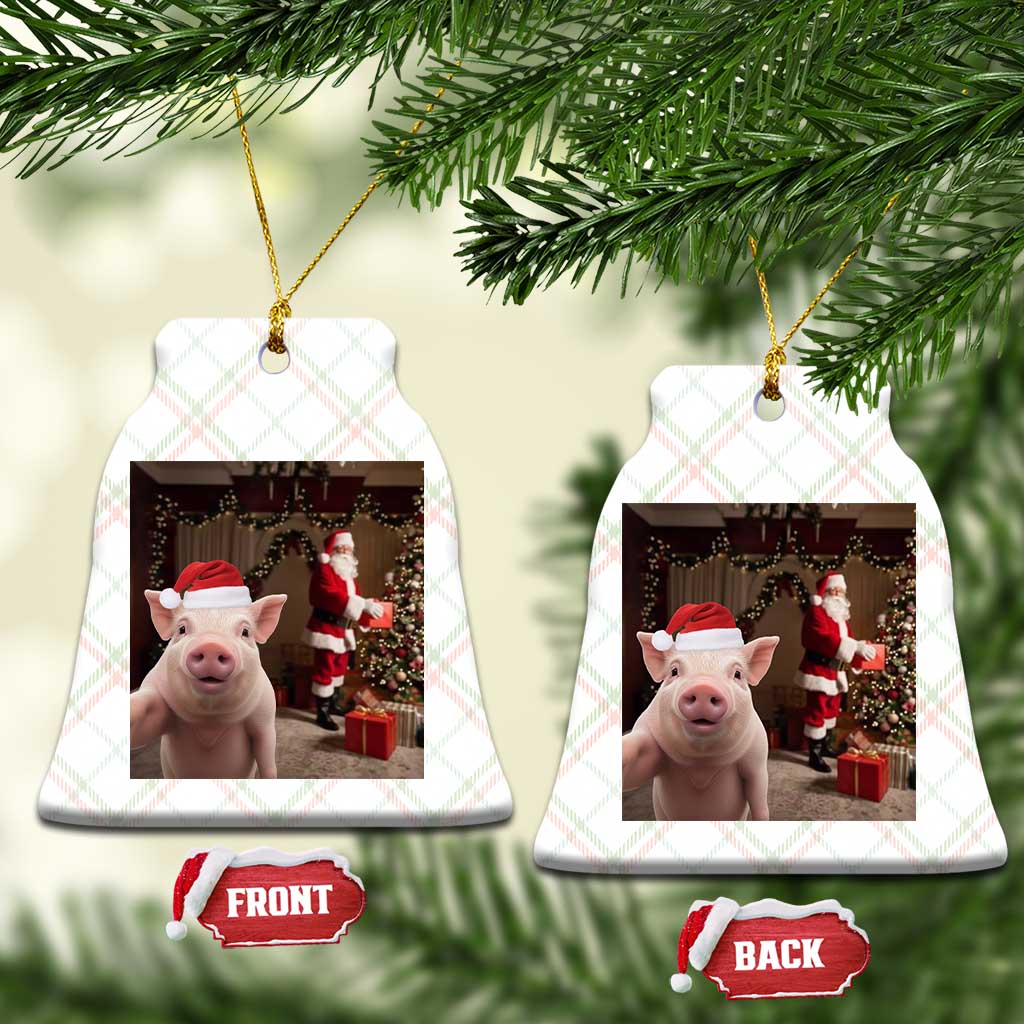 Funny Christmas Pig Selfie With Santa Gift Ceramic Ornament TS12 Print Your Wear