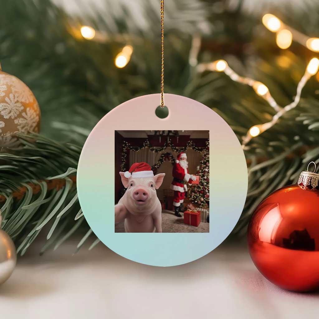 Funny Christmas Pig Selfie With Santa Gift Ceramic Ornament TS12 1pc Pastel Print Your Wear