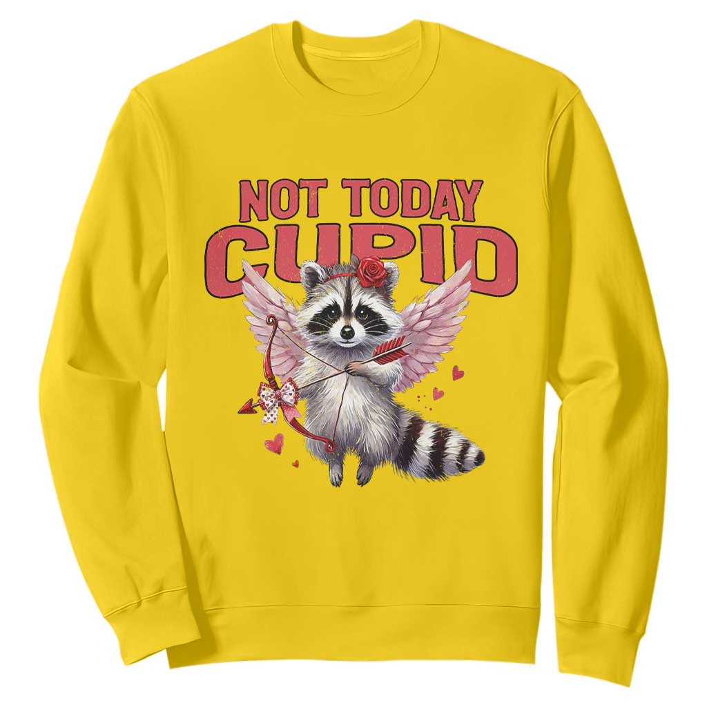 Funny Raccoon Cupid Anti Valentine Sweatshirt Not Today Cupid TS12 Daisy Print Your Wear