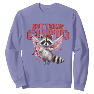 Funny Raccoon Cupid Anti Valentine Sweatshirt Not Today Cupid TS12 Violet Print Your Wear