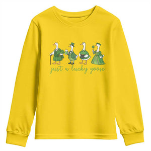 Just A Lucky Goose Youth Sweatshirt Funny St Patricks Day Irish Gift TS12 Daisy Print Your Wear