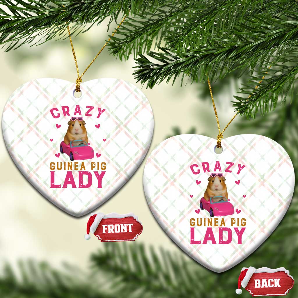 Crazy Guinea Pig Lady Ceramic Ornament Funny Pet Lover Gift TS12 Print Your Wear