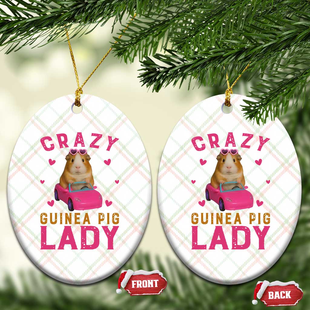 Crazy Guinea Pig Lady Ceramic Ornament Funny Pet Lover Gift TS12 Print Your Wear