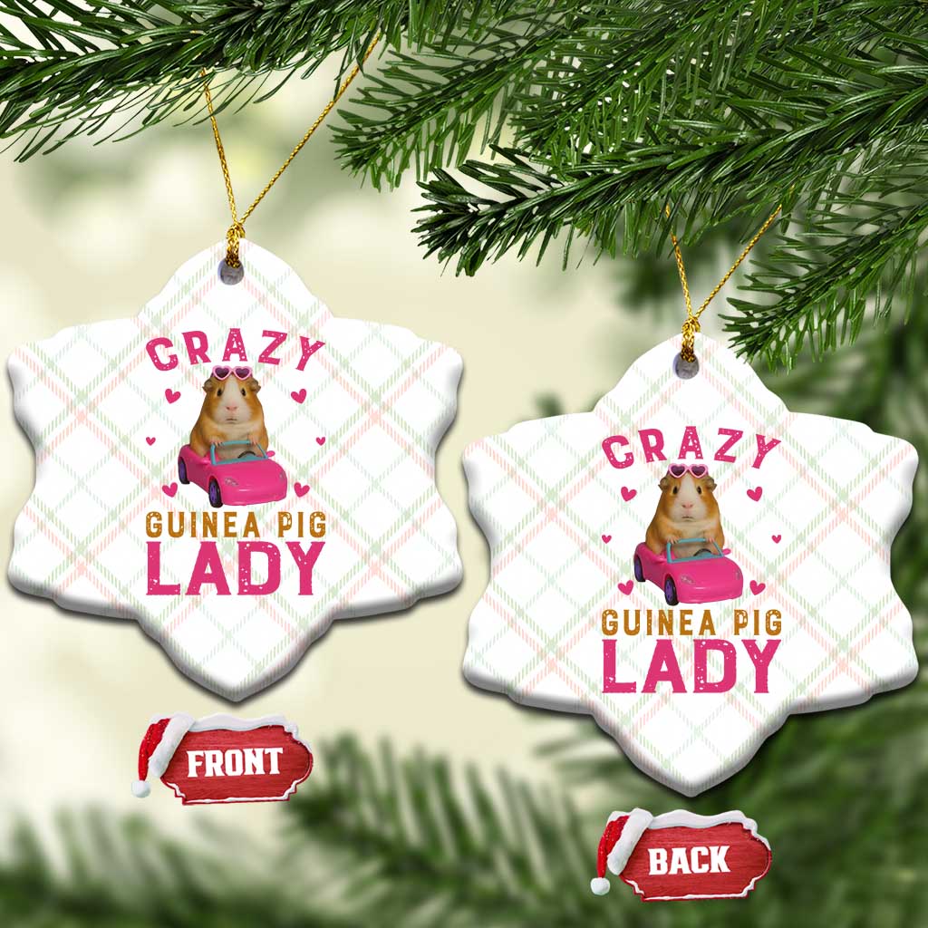Crazy Guinea Pig Lady Ceramic Ornament Funny Pet Lover Gift TS12 Print Your Wear
