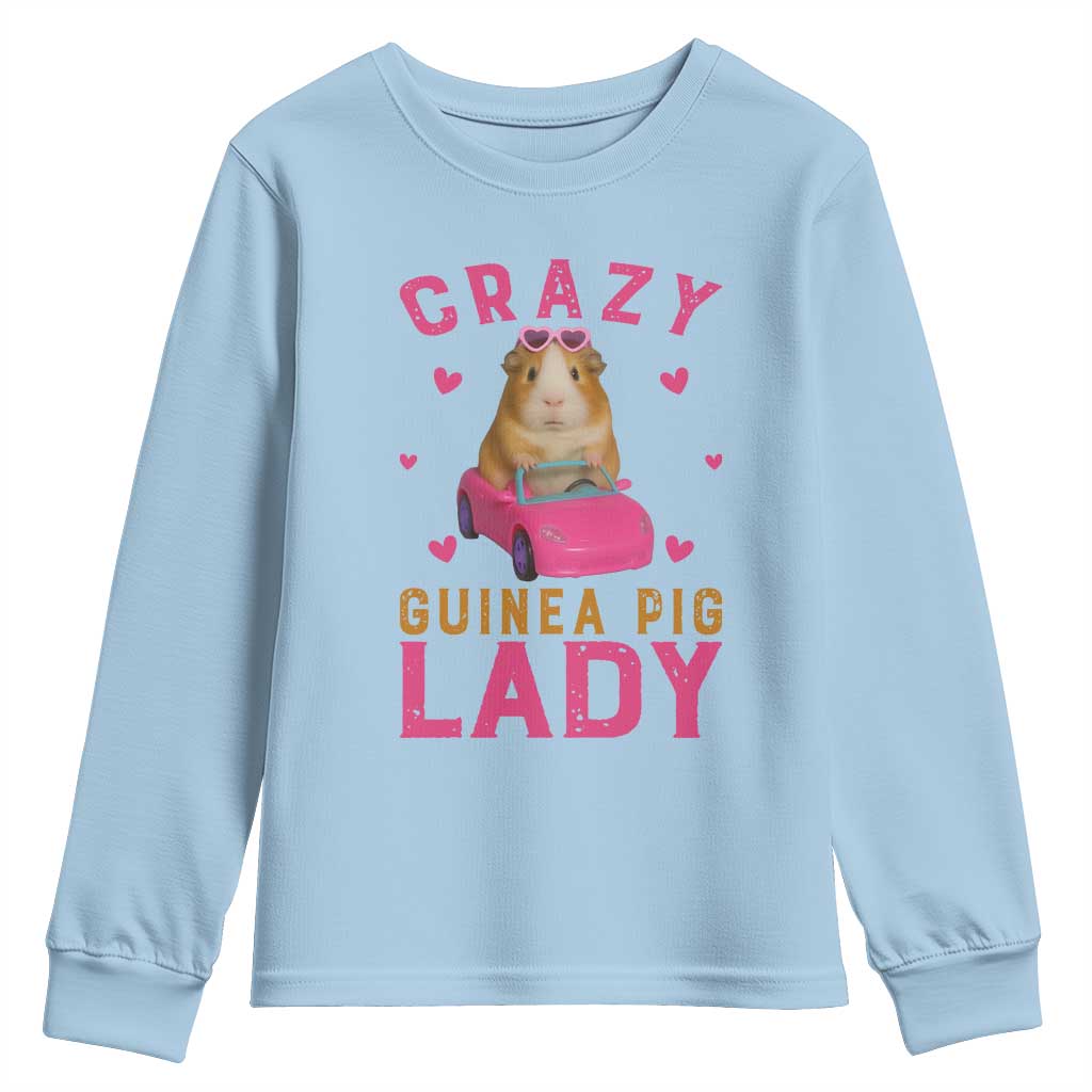 Crazy Guinea Pig Lady Youth Sweatshirt Funny Pet Lover Gift TS12 Light Blue Print Your Wear