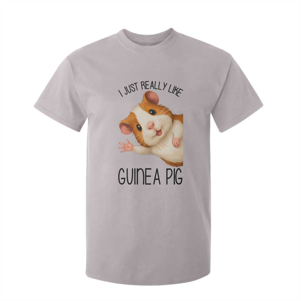 I Just Really Like Guinea Pigs T Shirt For Kid Funny Cavy Lover TS12 Ice Gray Print Your Wear