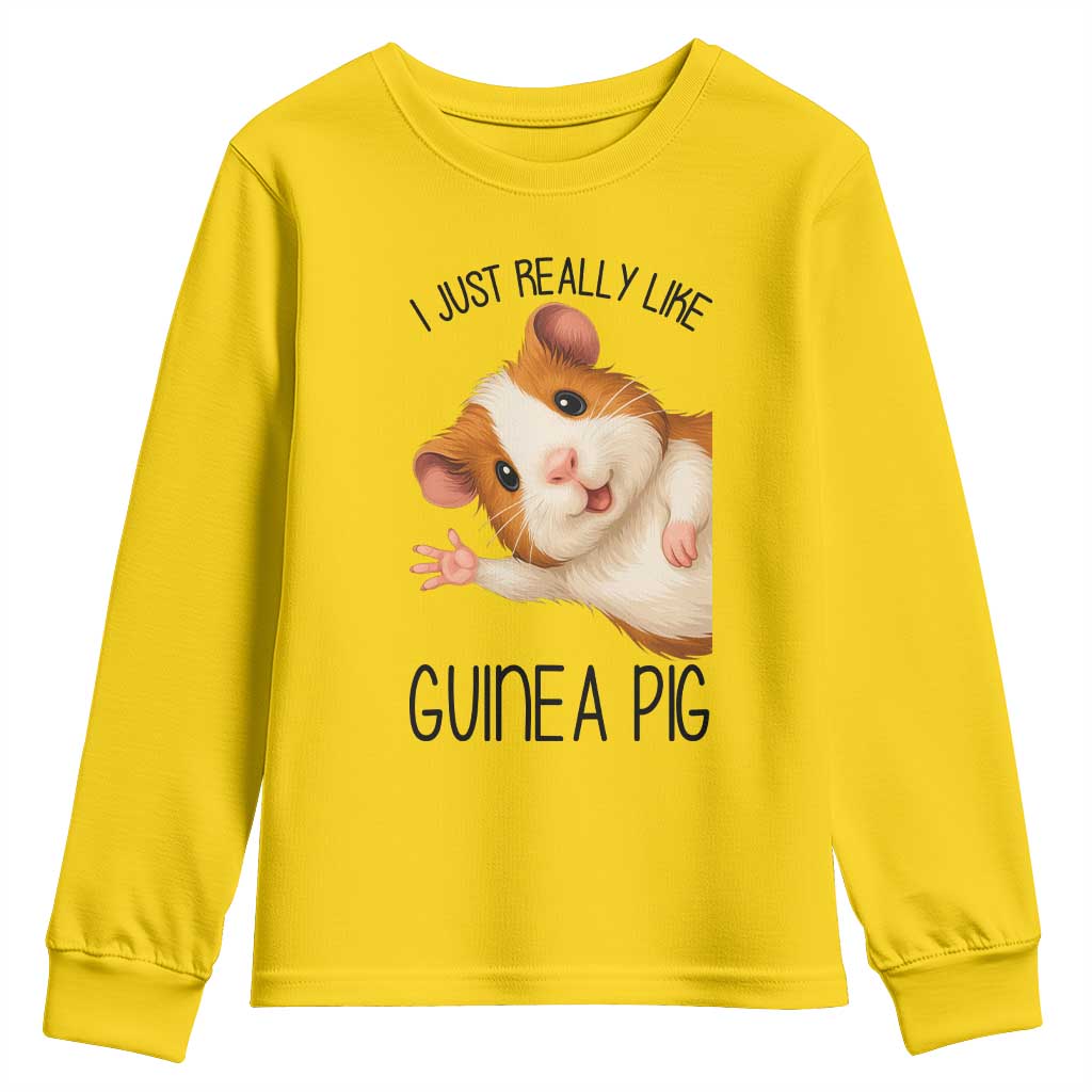 I Just Really Like Guinea Pigs Youth Sweatshirt Funny Cavy Lover TS12 Daisy Print Your Wear