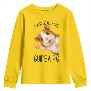 I Just Really Like Guinea Pigs Youth Sweatshirt Funny Cavy Lover TS12 Daisy Print Your Wear
