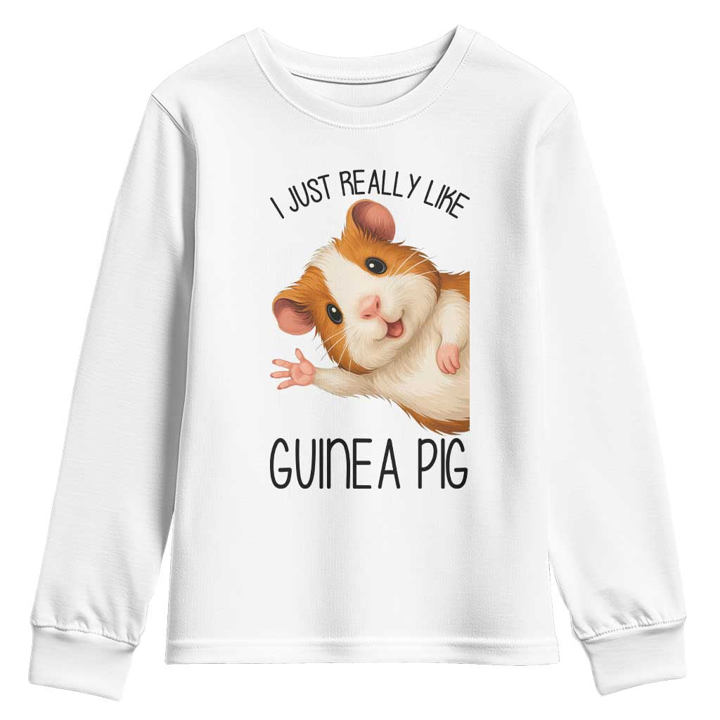 I Just Really Like Guinea Pigs Youth Sweatshirt Funny Cavy Lover TS12 White Print Your Wear