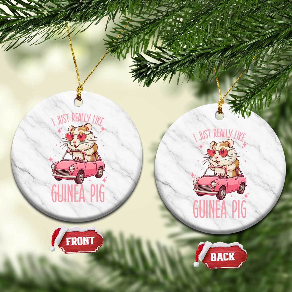 I Just Really Like Guinea Pigs Ceramic Ornament Pet Lover Gift For Girl TS12 1pc White Marble Print Your Wear