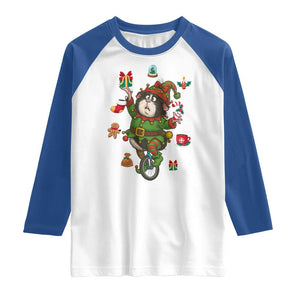 Guinea Pig Master Juggler Raglan Shirt Funny Christmas Cavy Lover Gift TS12 White Royal Print Your Wear