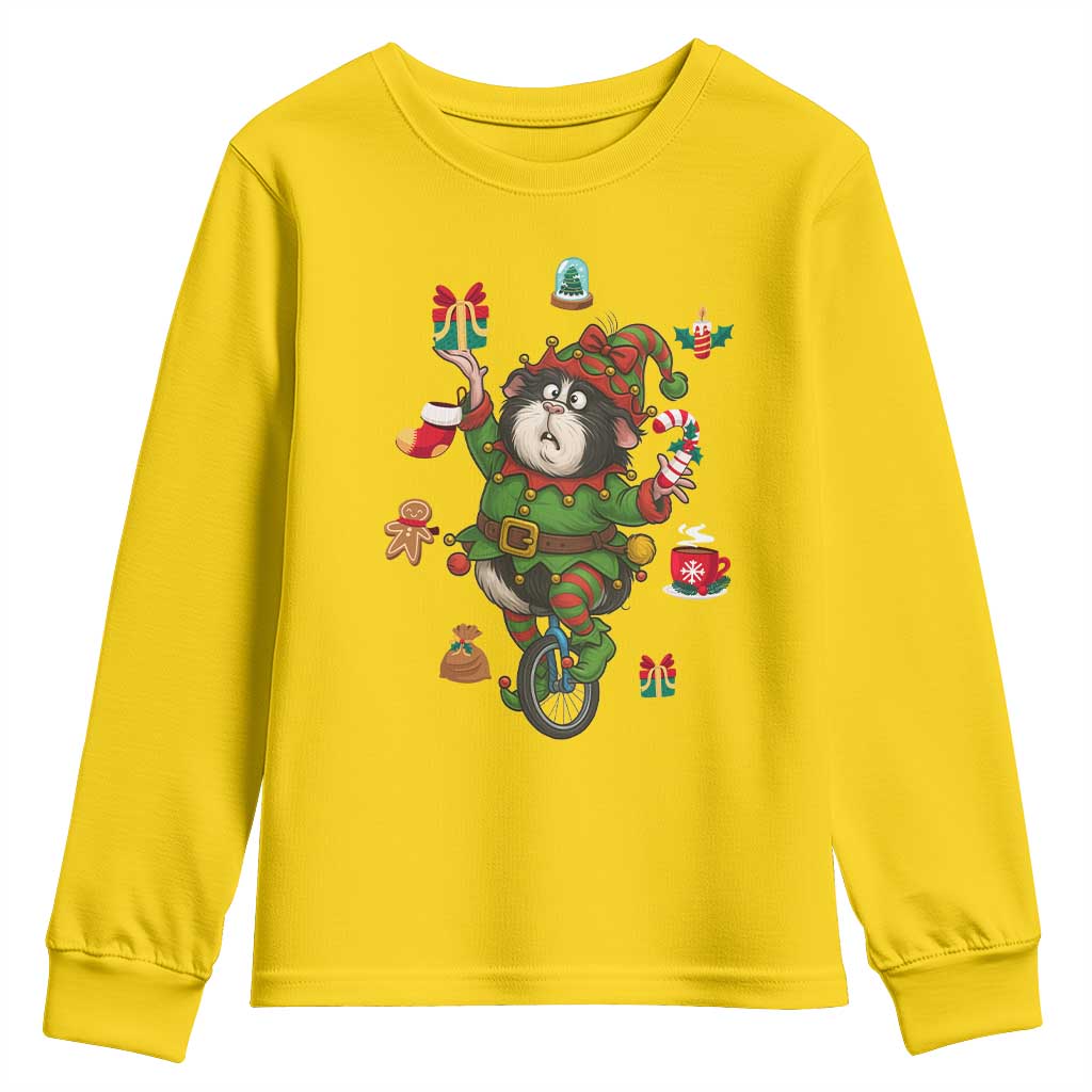 Guinea Pig Master Juggler Youth Sweatshirt Funny Christmas Cavy Lover Gift TS12 Daisy Print Your Wear