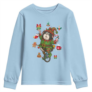 Guinea Pig Master Juggler Youth Sweatshirt Funny Christmas Cavy Lover Gift TS12 Light Blue Print Your Wear