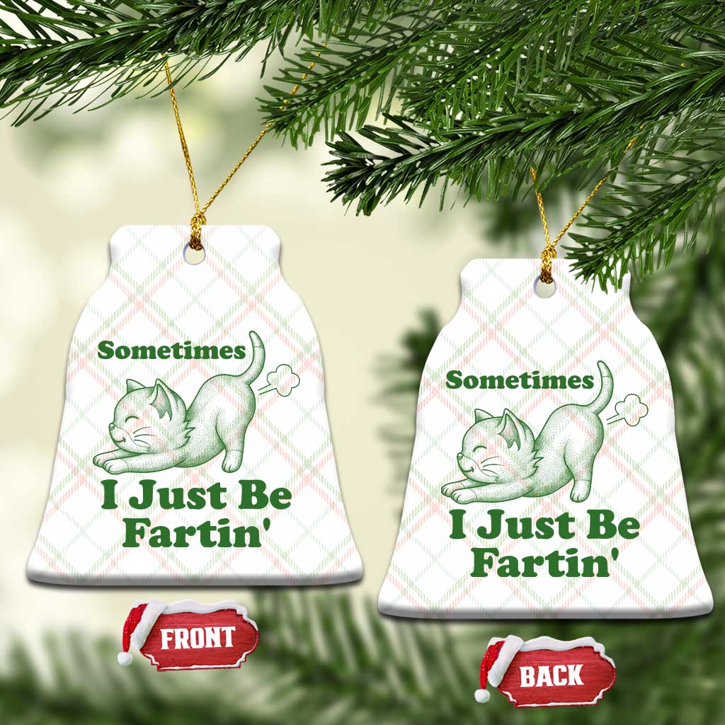 Funny Cat Sometimes I Just Be Fartin Ceramic Ornament Pet Lover TS12 Print Your Wear