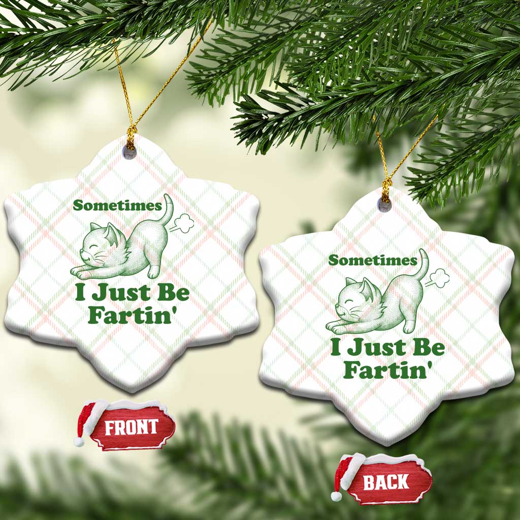 Funny Cat Sometimes I Just Be Fartin Ceramic Ornament Pet Lover TS12 Print Your Wear