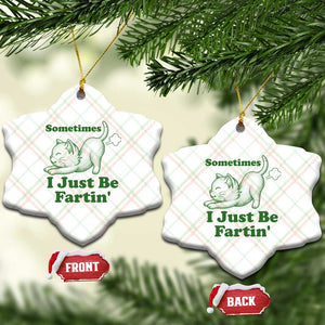 Funny Cat Sometimes I Just Be Fartin Ceramic Ornament Pet Lover TS12 Print Your Wear
