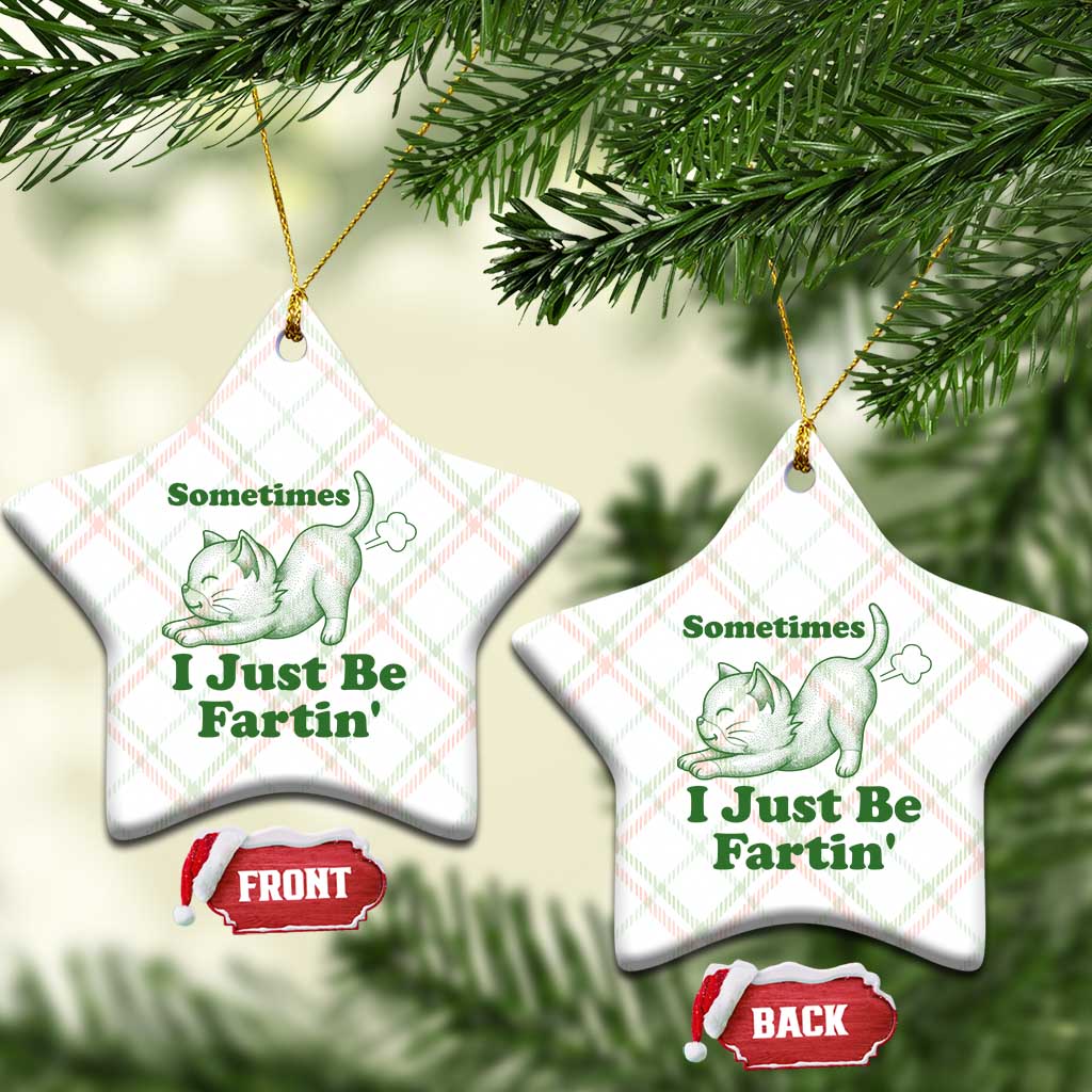 Funny Cat Sometimes I Just Be Fartin Ceramic Ornament Pet Lover TS12 Print Your Wear