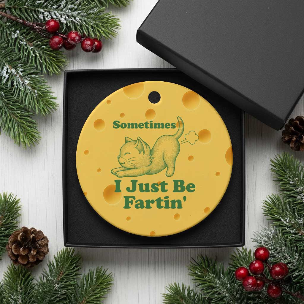 Funny Cat Sometimes I Just Be Fartin Ceramic Ornament Pet Lover TS12 1pc Yellow Cheese Print Your Wear