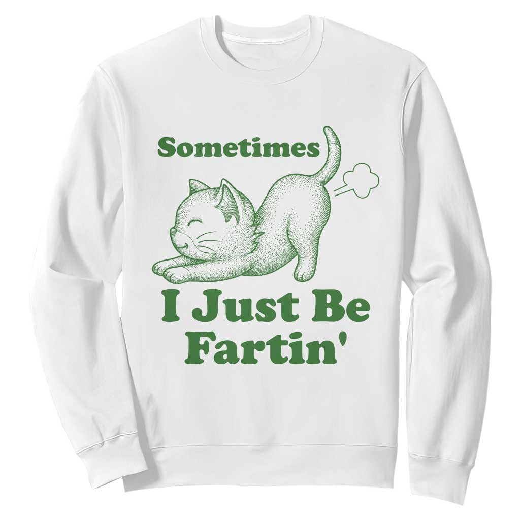 Funny Cat Sometimes I Just Be Fartin Sweatshirt Pet Lover TS12 White Print Your Wear