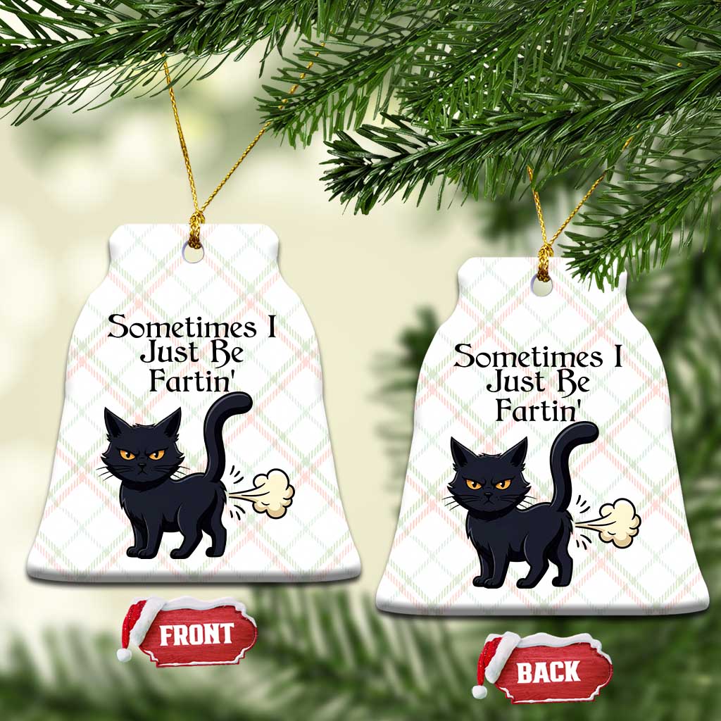 Funny Black Cat Bathroom Humor Ceramic Ornament Sometimes I Just Be Fartin TS12 Print Your Wear