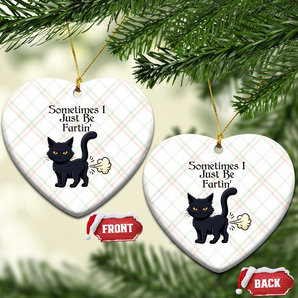 Funny Black Cat Bathroom Humor Ceramic Ornament Sometimes I Just Be Fartin TS12 Print Your Wear
