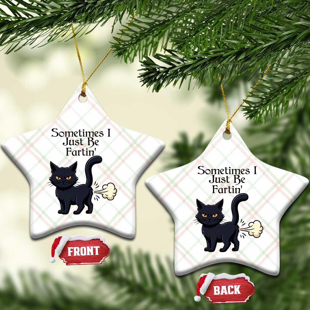 Funny Black Cat Bathroom Humor Ceramic Ornament Sometimes I Just Be Fartin TS12 Print Your Wear