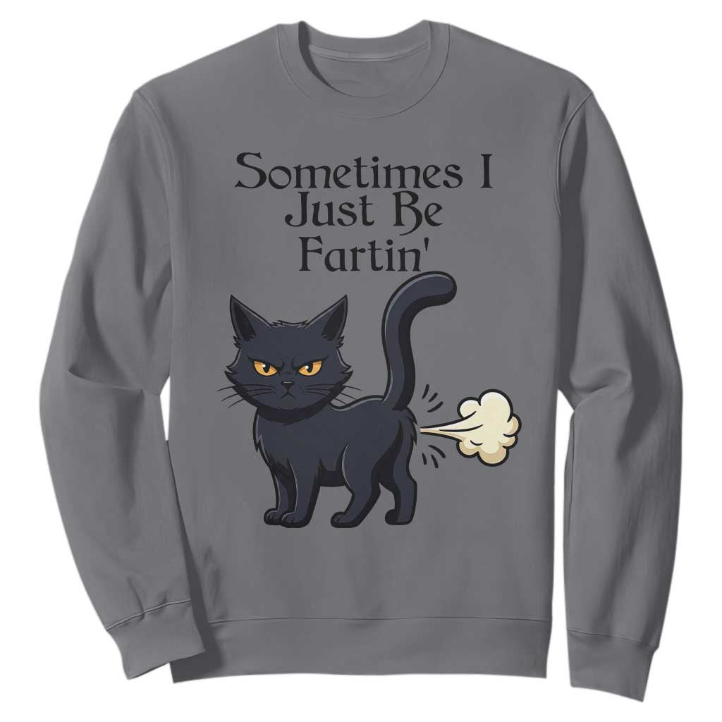 Funny Black Cat Bathroom Humor Sweatshirt Sometimes I Just Be Fartin TS12 Charcoal Print Your Wear