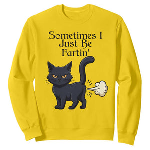 Funny Black Cat Bathroom Humor Sweatshirt Sometimes I Just Be Fartin TS12 Daisy Print Your Wear