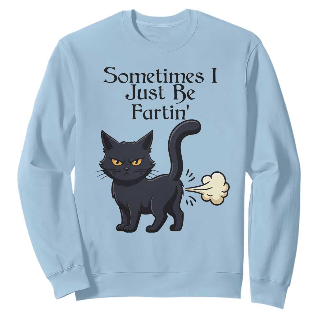 Funny Black Cat Bathroom Humor Sweatshirt Sometimes I Just Be Fartin TS12 Light Blue Print Your Wear