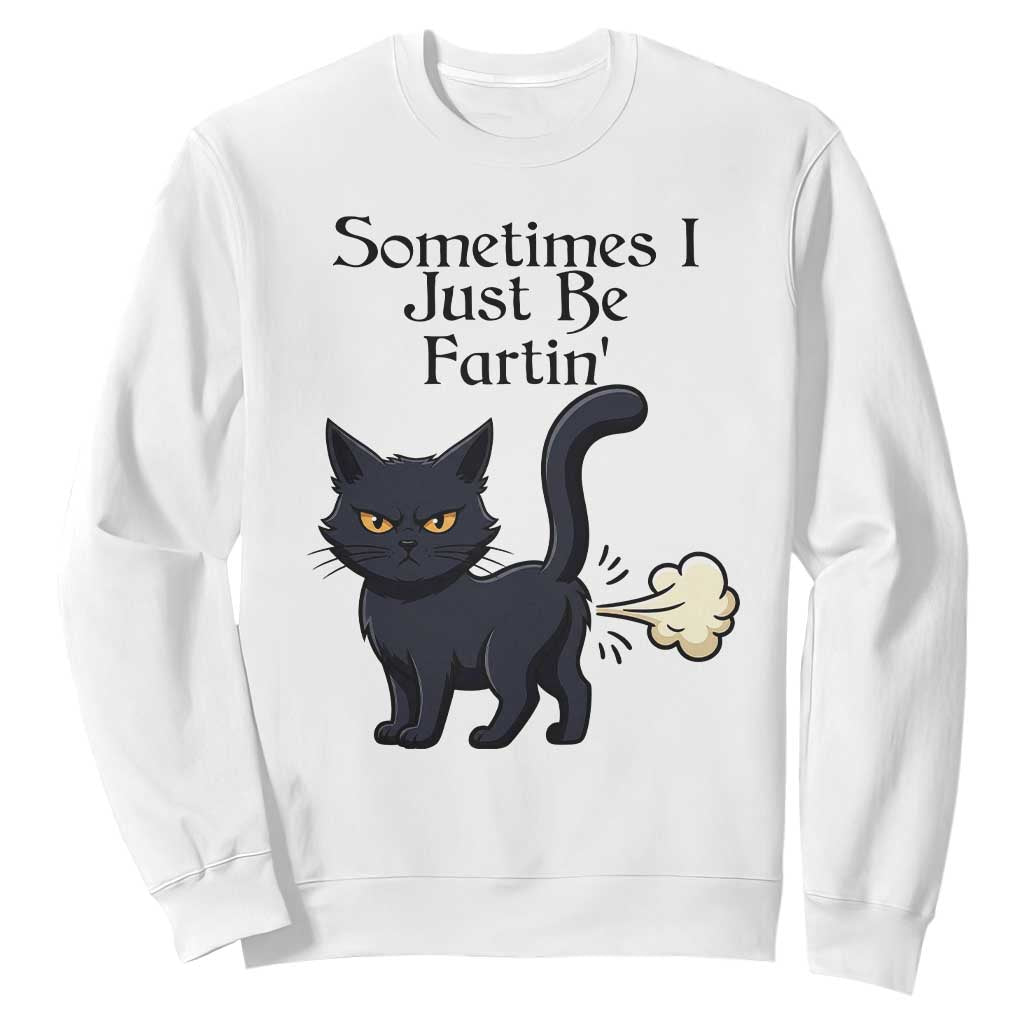Funny Black Cat Bathroom Humor Sweatshirt Sometimes I Just Be Fartin TS12 White Print Your Wear