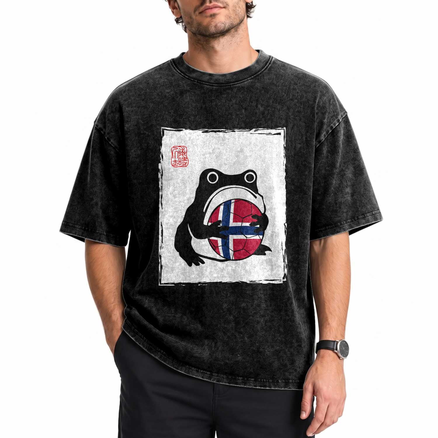 Grumpy Frog Norway Soccer Fan Washed Cotton T-Shirt Japanese Style Match Day