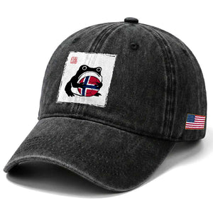 Grumpy Frog Norway Soccer Fan Washed Cotton Baseball Cap Japanese Style Match Day TS12 Print Your Wear