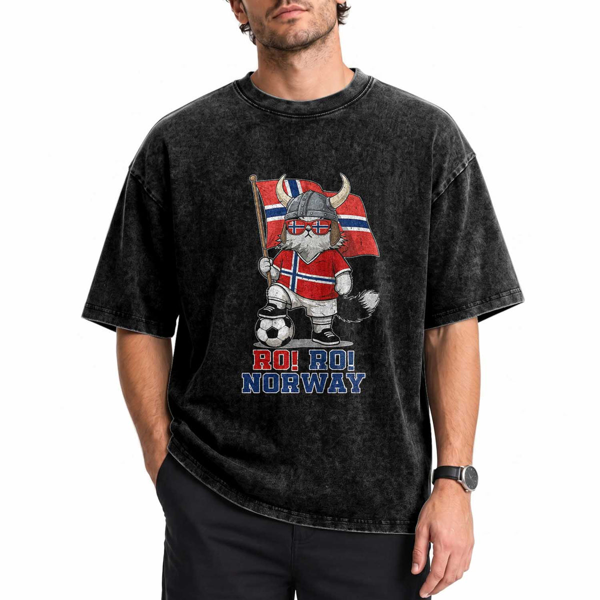 Ro Ro Norway Washed Cotton T-Shirt Norwegian Pride Cat Lover Norway Flag Gift
