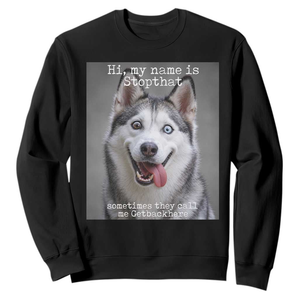 Funny Siberian Husky Meme Sweatshirt My Name Is Stop That TS12 Black Print Your Wear