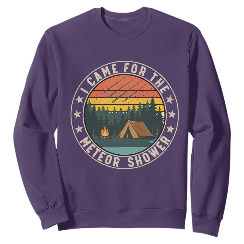 I Came For The Meteor Shower Sweatshirt Stargazer Camping Gift TS12 Purple Print Your Wear
