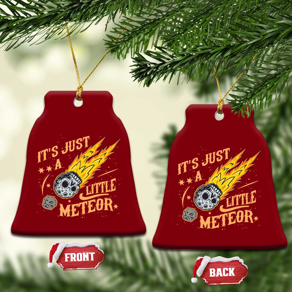 Funny Skull Meteorite Ceramic Ornament Just A Little Meteor TS12 Print Your Wear