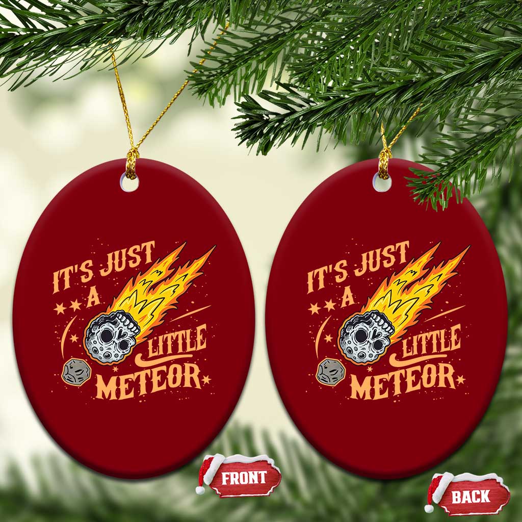 Funny Skull Meteorite Ceramic Ornament Just A Little Meteor TS12 Print Your Wear