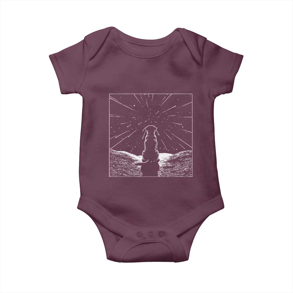 Meteor Shower Science Gift Baby Onesie Dog Watching Stars TS12 Maroon Print Your Wear
