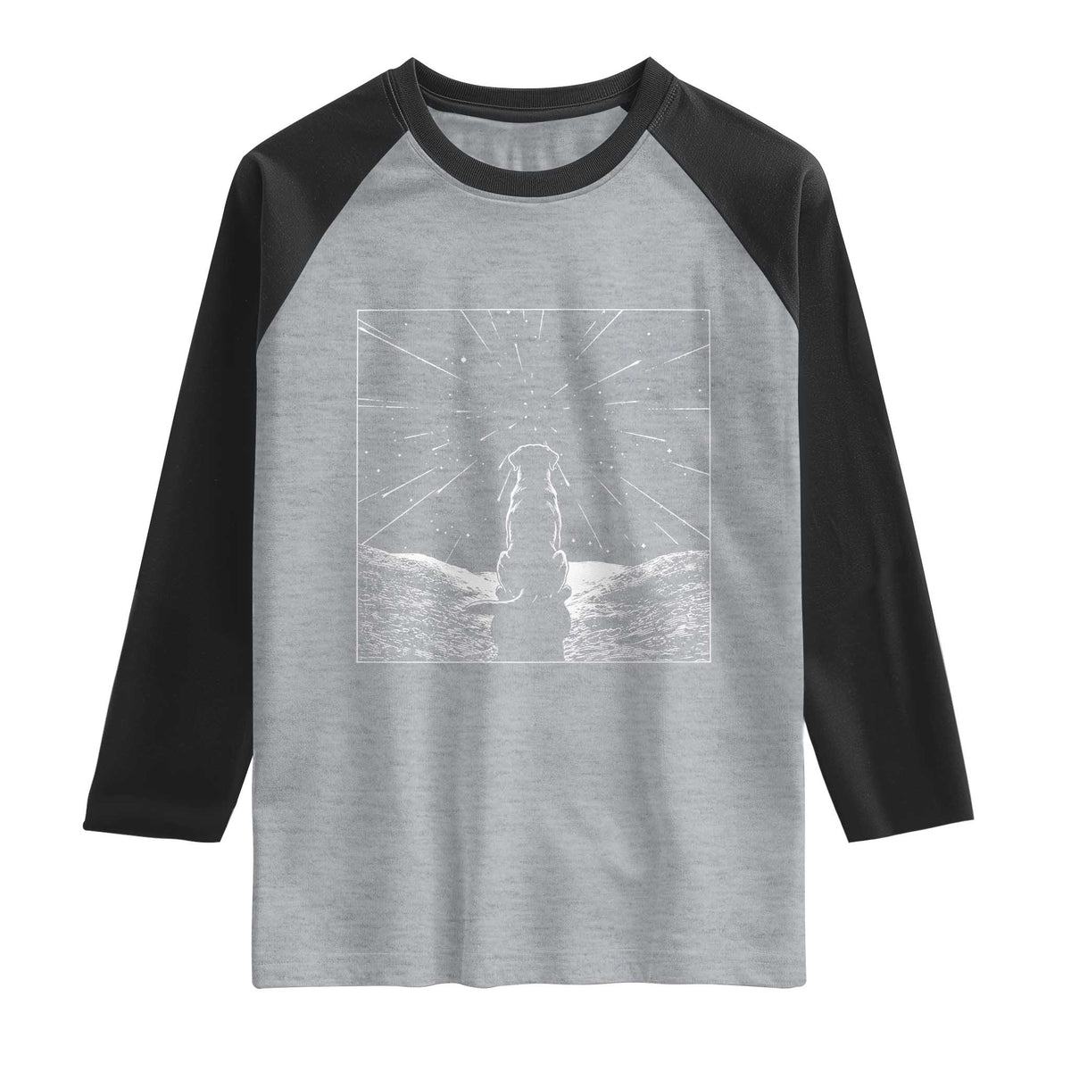 Meteor Shower Science Gift Raglan Shirt Dog Watching Stars TS12 Heather Gray Black Print Your Wear