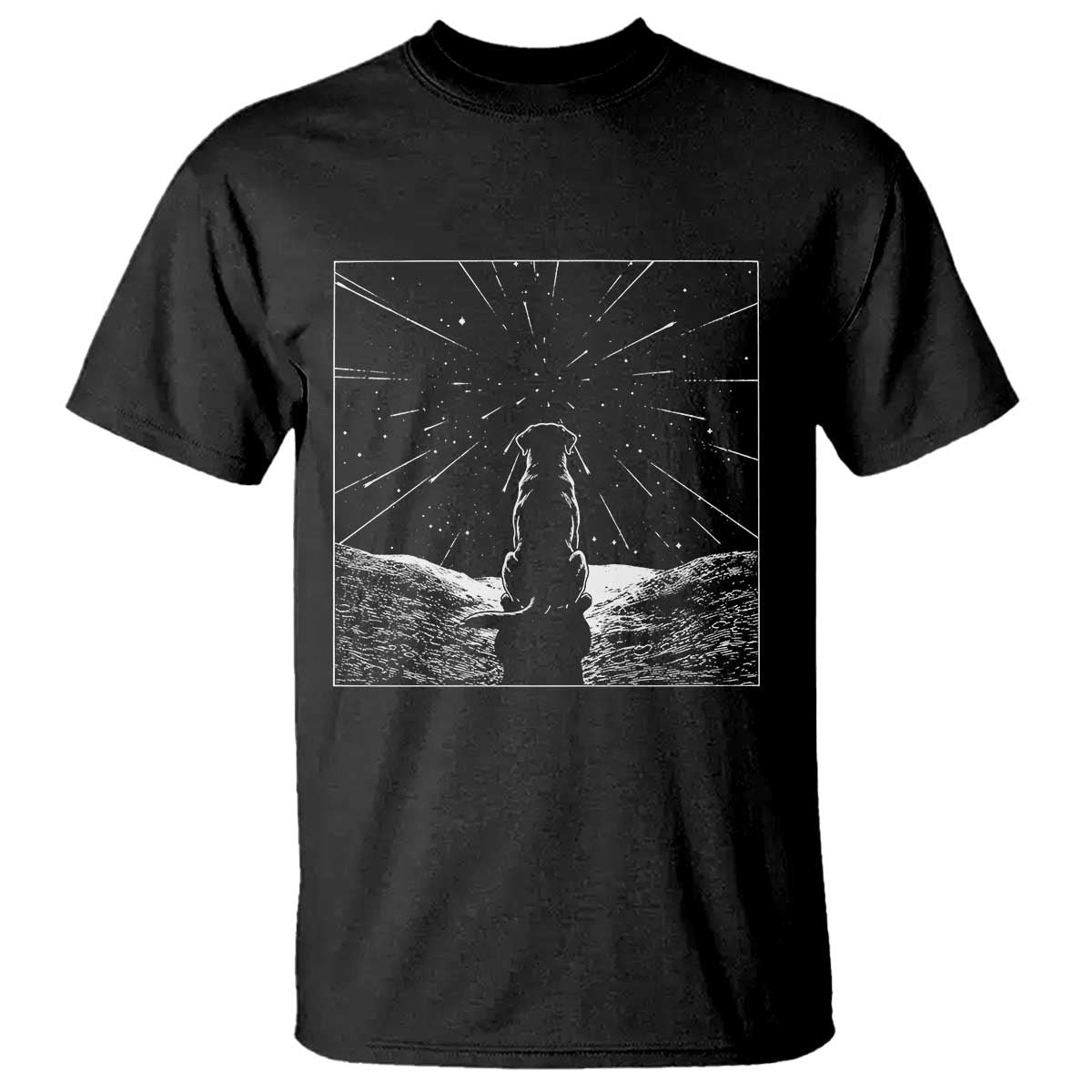 Meteor Shower Science Gift T Shirt Dog Watching Stars TS12 Black Print Your Wear