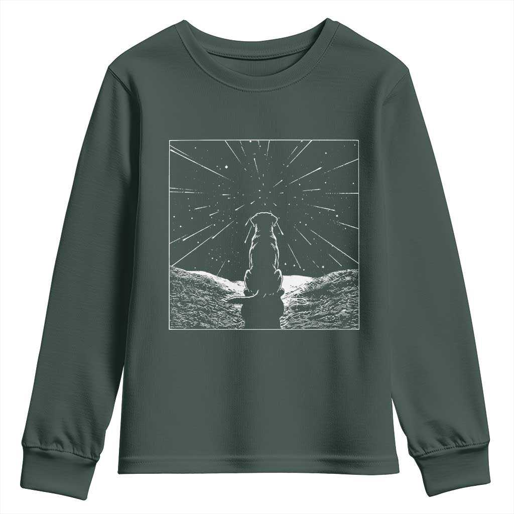 Meteor Shower Science Gift Youth Sweatshirt Dog Watching Stars TS12 Dark Forest Green Print Your Wear
