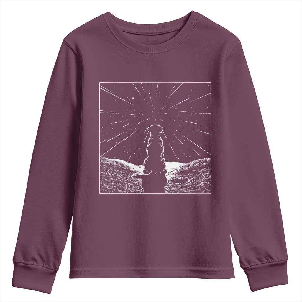 Meteor Shower Science Gift Youth Sweatshirt Dog Watching Stars TS12 Maroon Print Your Wear